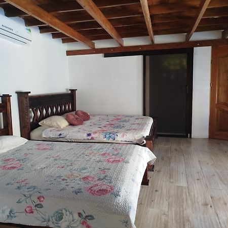 Hotel Liah'S Tortuguero Kültér fotó
