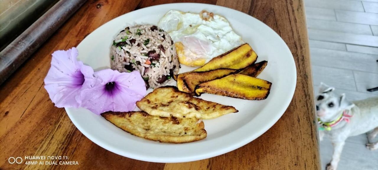 Hotel Liah'S Tortuguero Kültér fotó